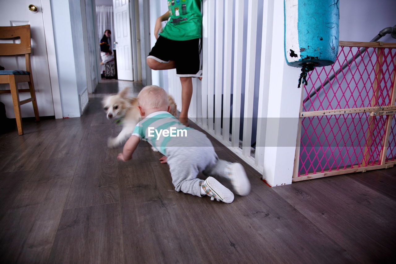 Boy playing with puppy at home