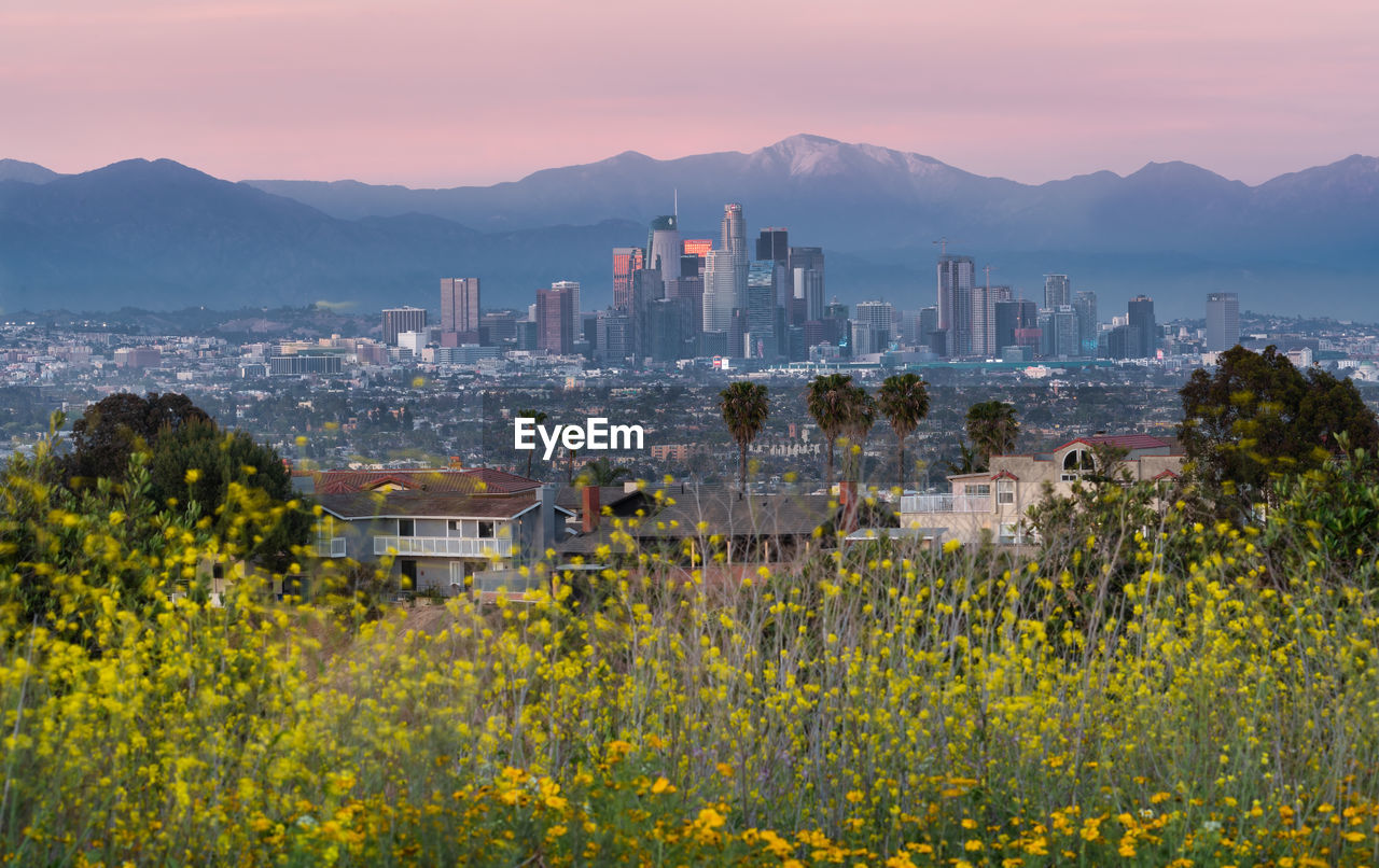 PANORAMIC SHOT OF BUILDINGS AND MOUNTAINS AGAINST SKY