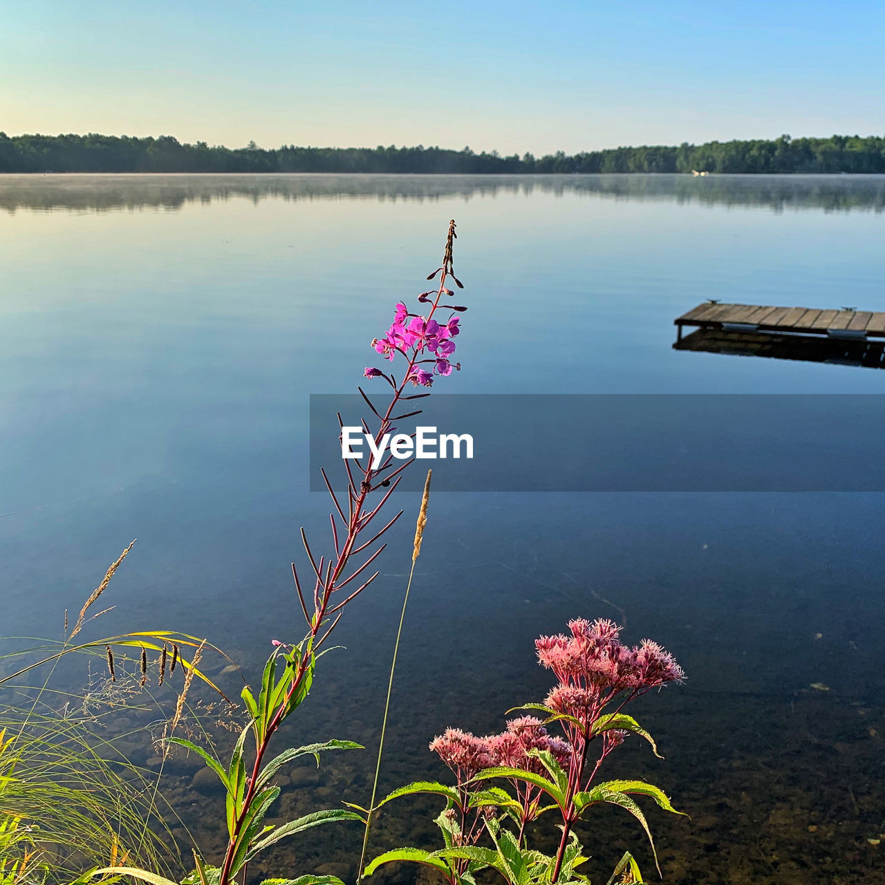 SCENIC VIEW OF PINK LAKE AGAINST SKY