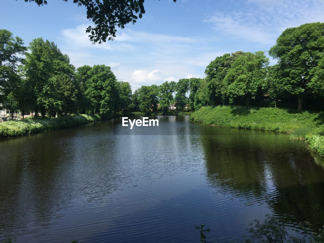 SCENIC VIEW OF LAKE AMIDST TREES AGAINST SKY