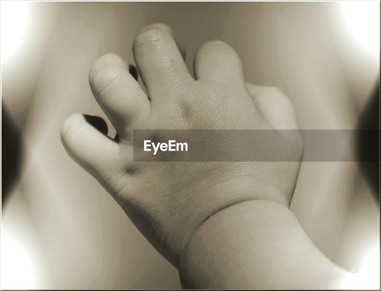 Close-up of baby's hand