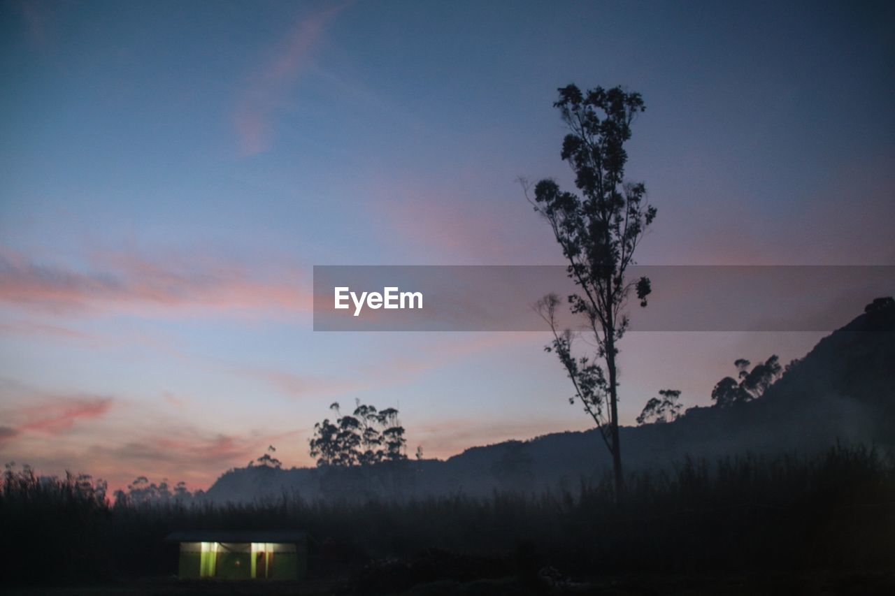 Silhouette trees on landscape against sky at sunset