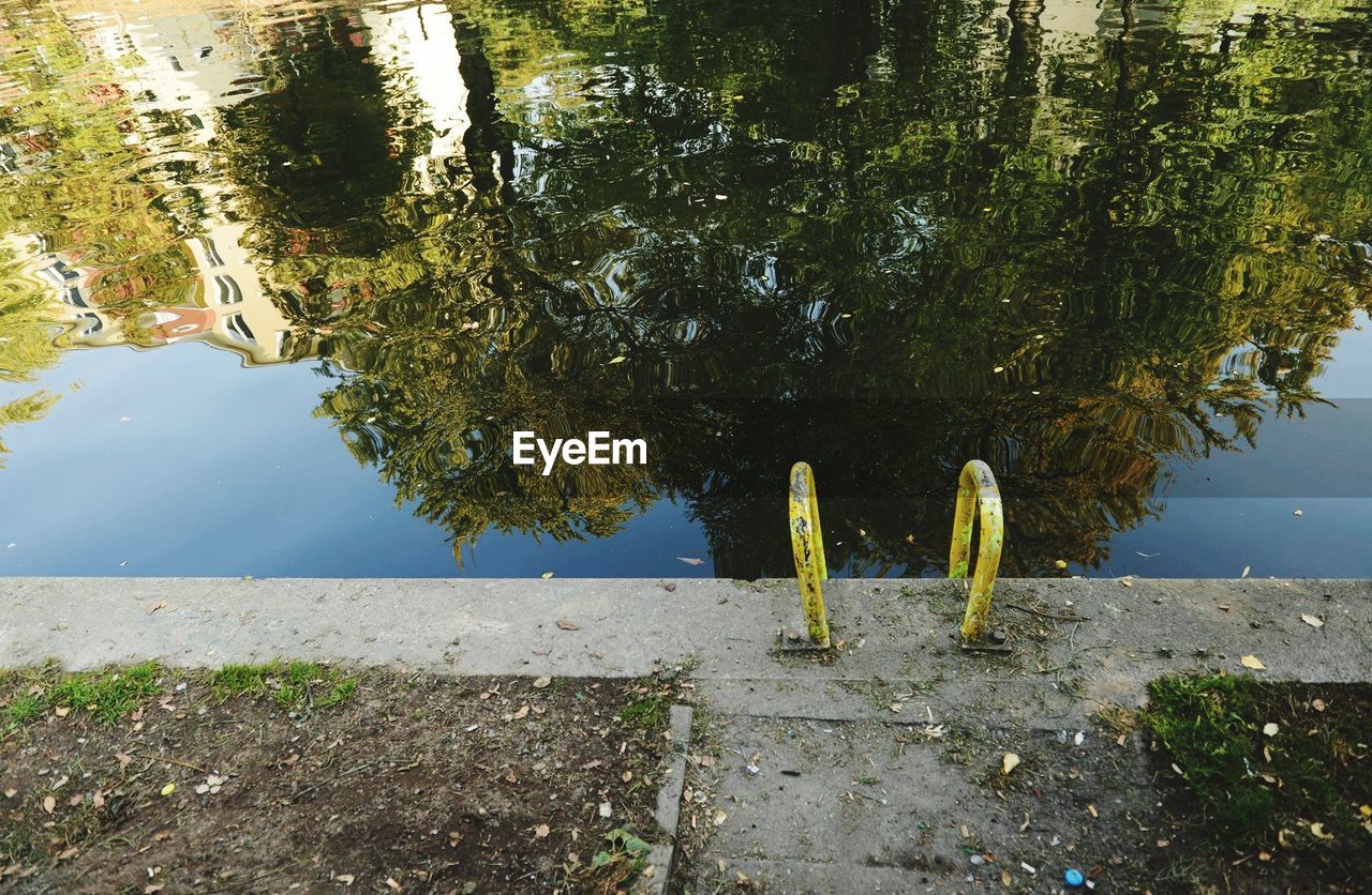 Reflection of trees in lake