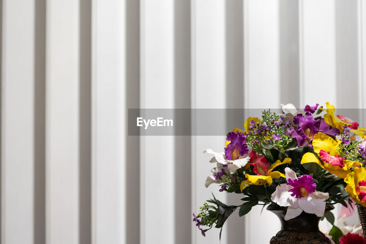 CLOSE-UP OF WHITE FLOWERS AGAINST WALL