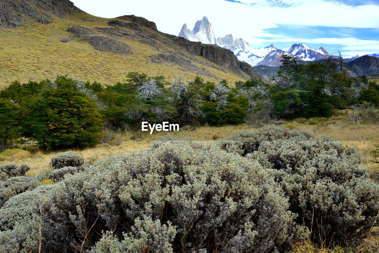 Mount fitz roy is a mountain located in patagonia, on the border between argentina and chile.