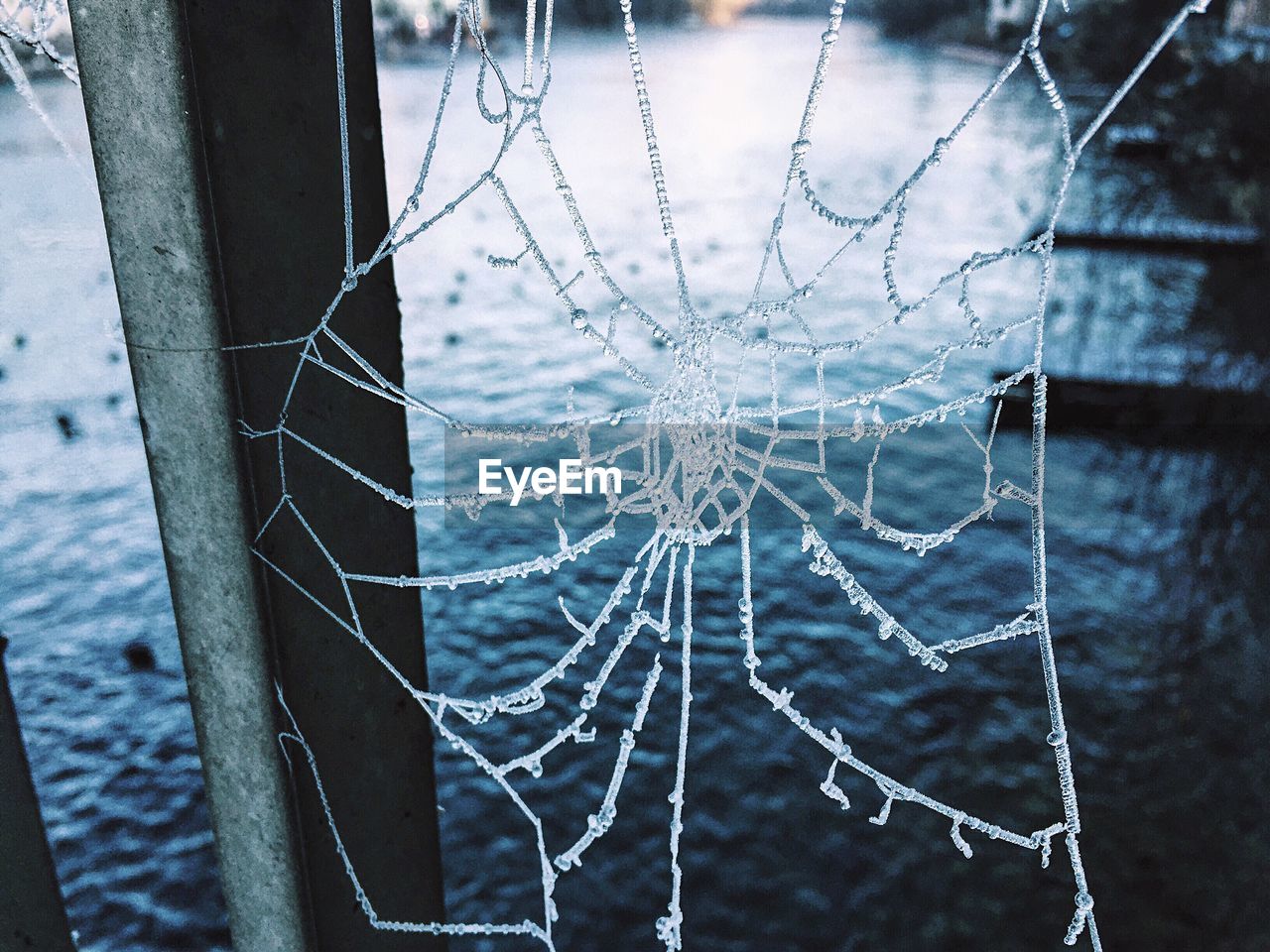 Close-up of frozen spider web against river
