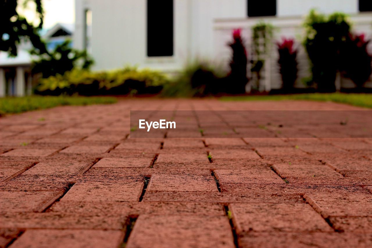 SURFACE LEVEL VIEW OF FOOTPATH