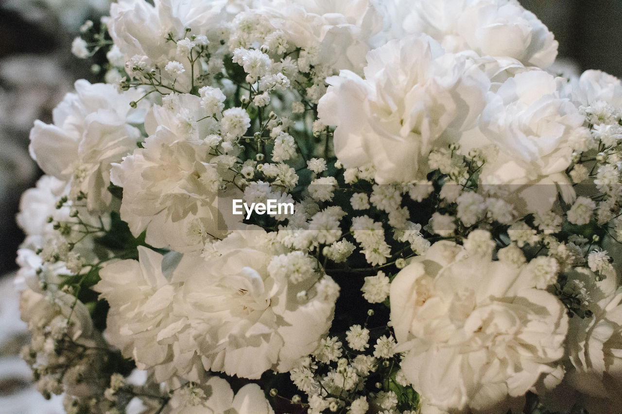 CLOSE-UP OF ROSE BOUQUET