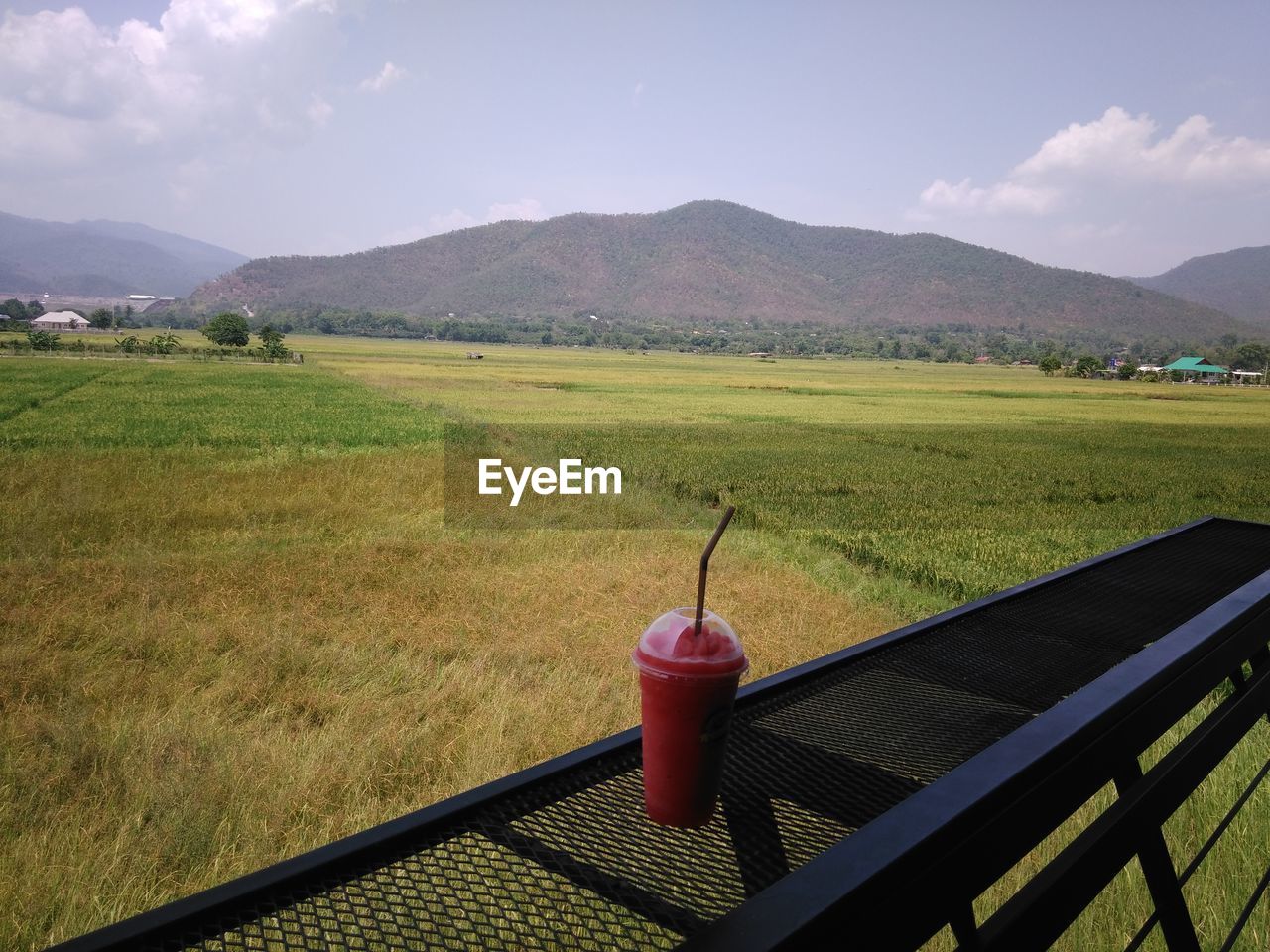 FIELD AGAINST SKY