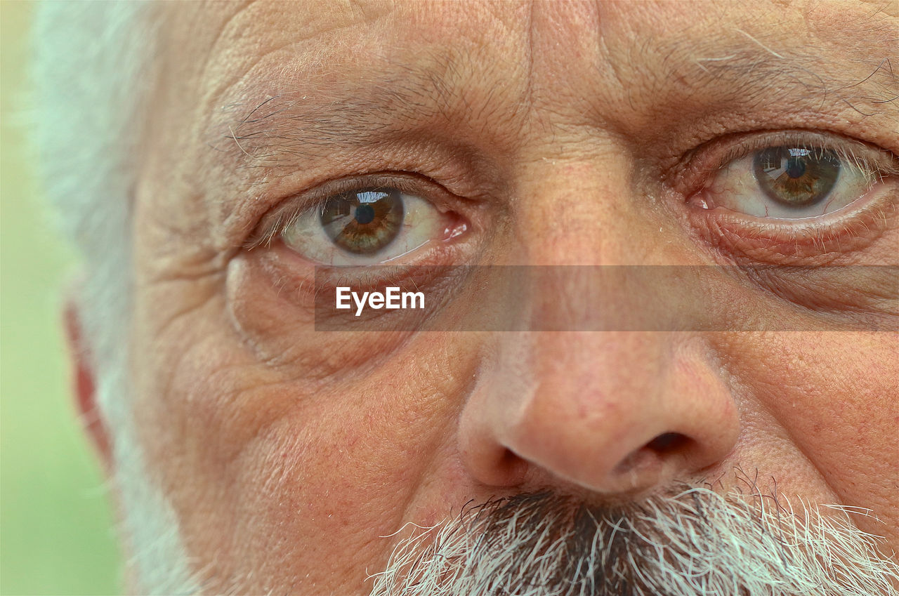 Close-up portrait of senior man