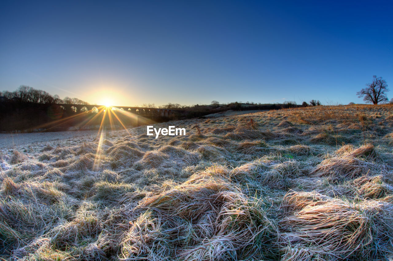 SCENIC VIEW OF SNOWY FIELD AGAINST CLEAR SKY DURING SUNSET