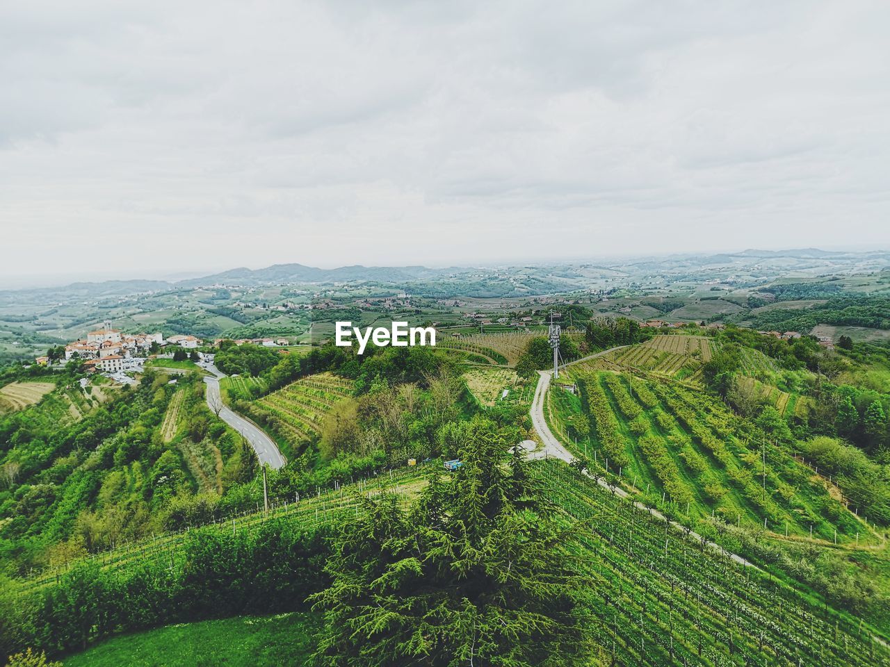 High angle view of vineyard against sky