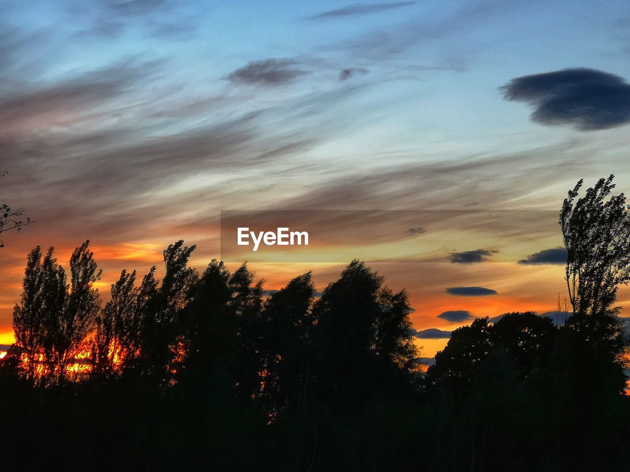 LOW ANGLE VIEW OF SILHOUETTE TREES AGAINST ROMANTIC SKY