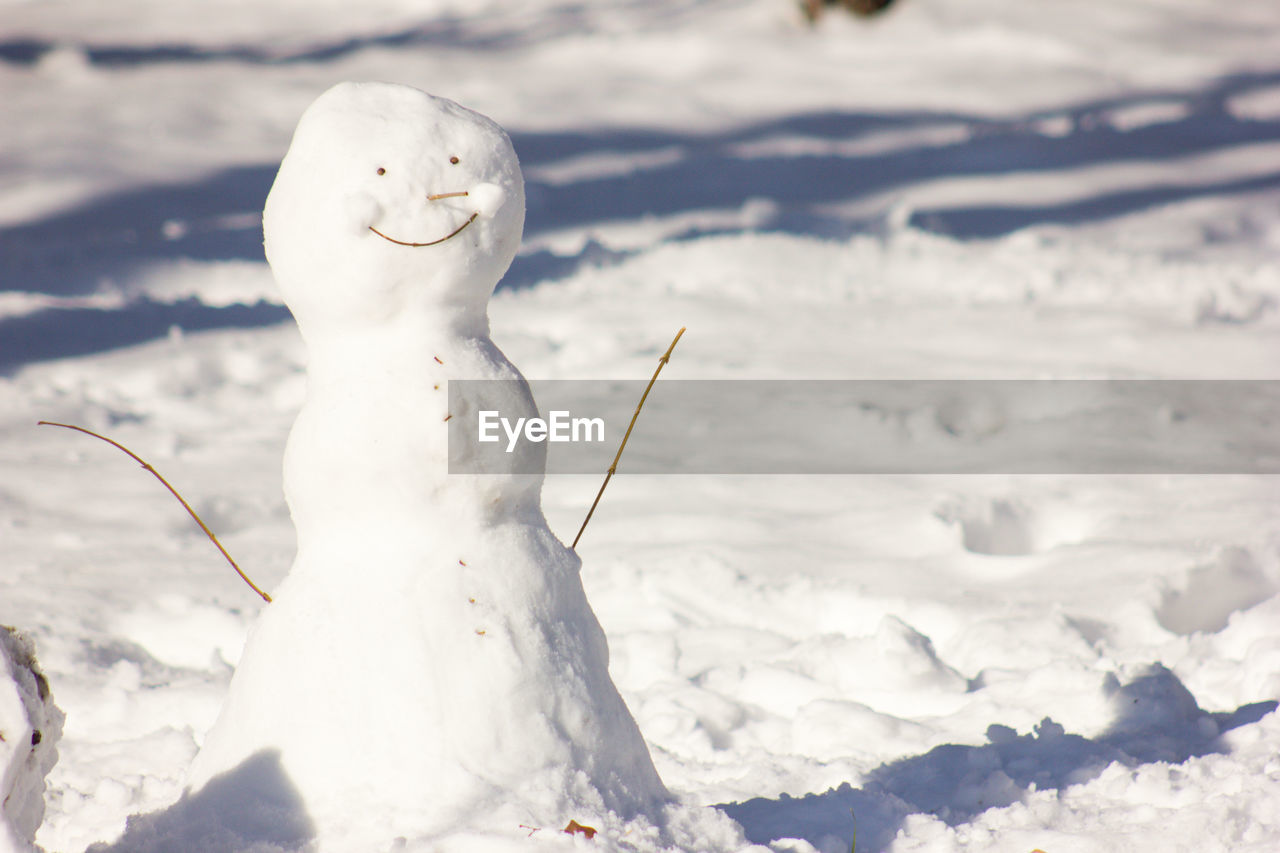 Close-up of snowman on snow covered land