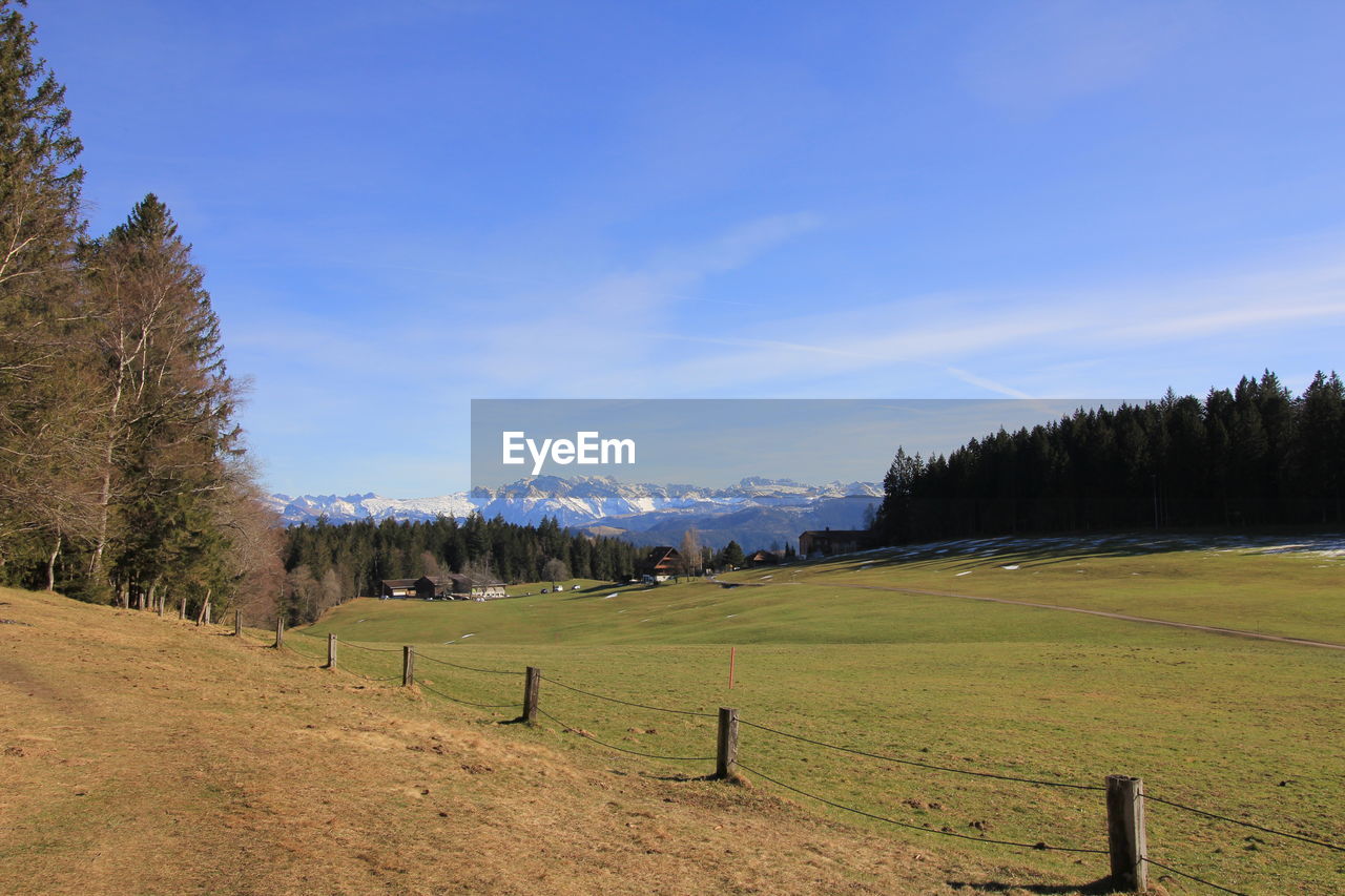 Scenic view of field against sky