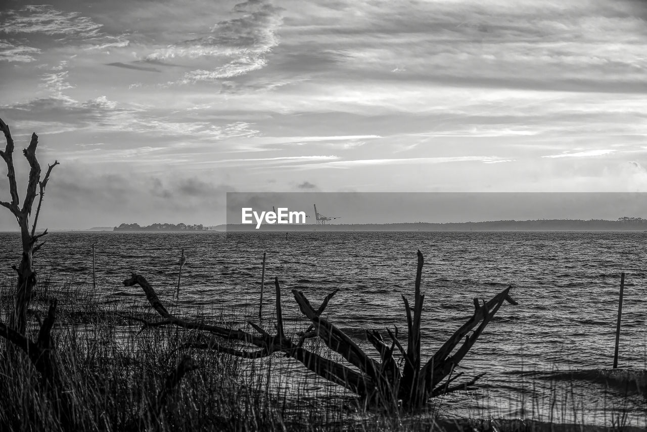 sky, cloud, water, horizon, nature, scenics - nature, environment, beauty in nature, monochrome photography, black and white, tranquility, plant, morning, tree, sea, monochrome, tranquil scene, land, no people, landscape, shore, grass, reflection, sunlight, outdoors, darkness, non-urban scene, coast, beach, wind, day, ocean, horizon over water