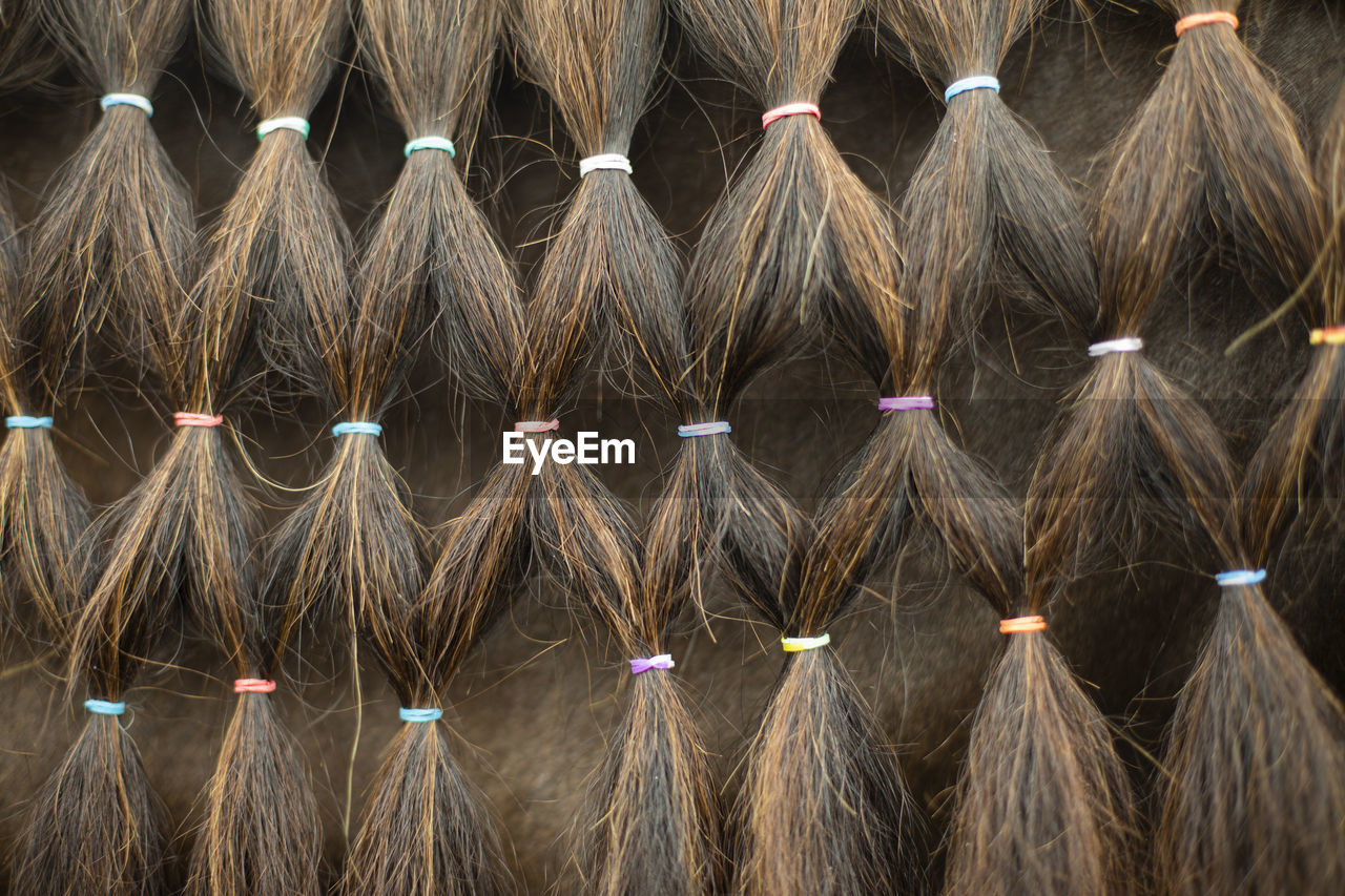 Horse hair. hair pattern. horse mane. small elastic bands for hairstyle. braided curls.