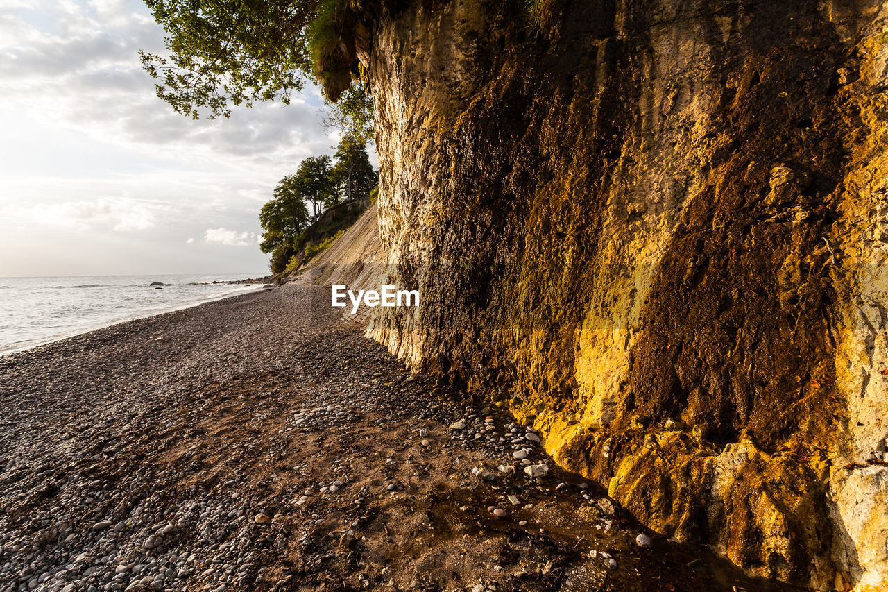 Close-up of rock on beach against sky