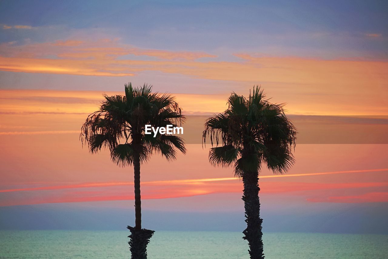 SILHOUETTE PALM TREE BY SEA AGAINST ROMANTIC SKY