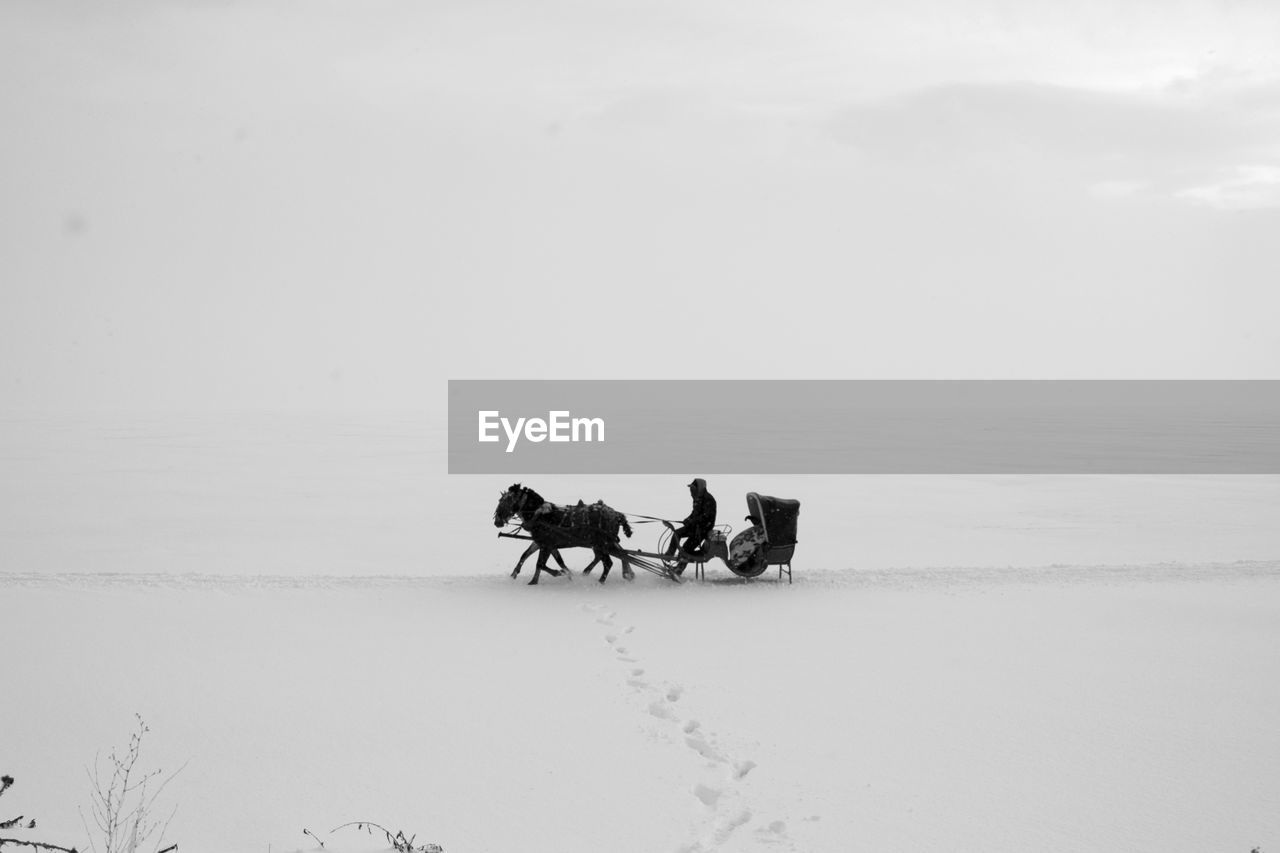 Side view of man riding horse cart on snow against sky