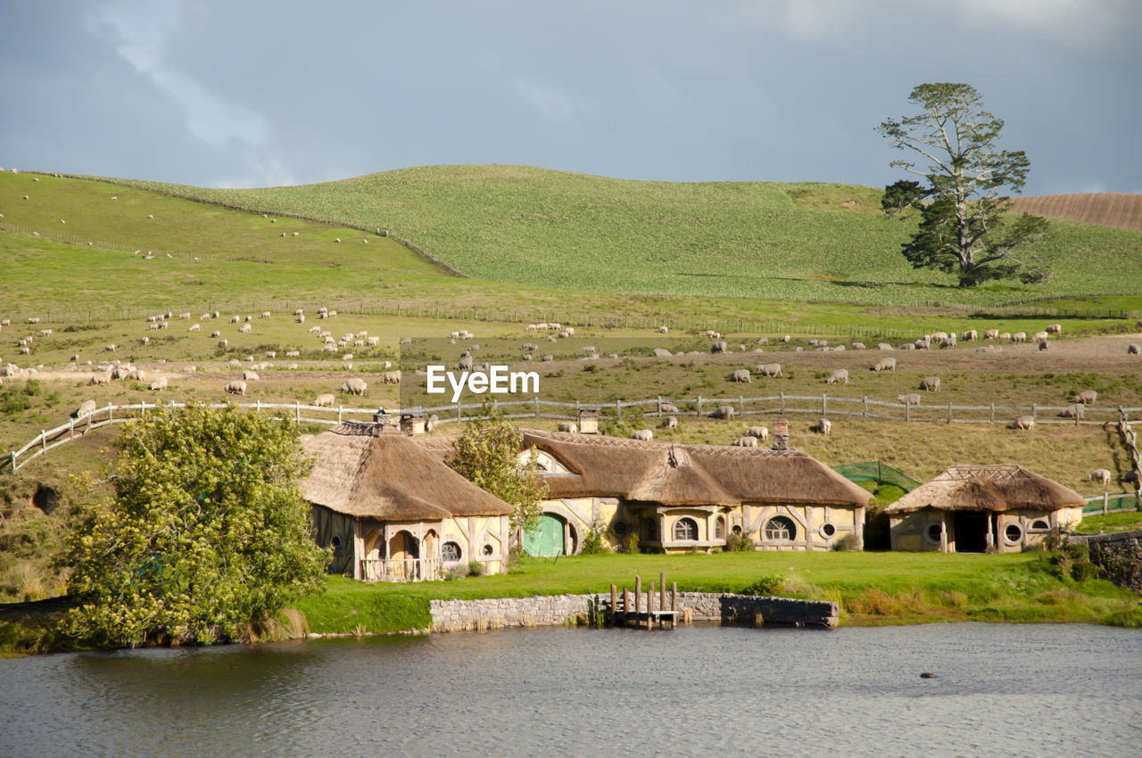 Houses in a valley