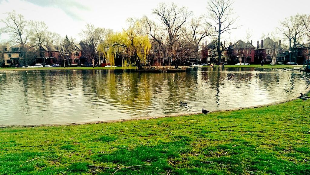 VIEW OF CALM LAKE