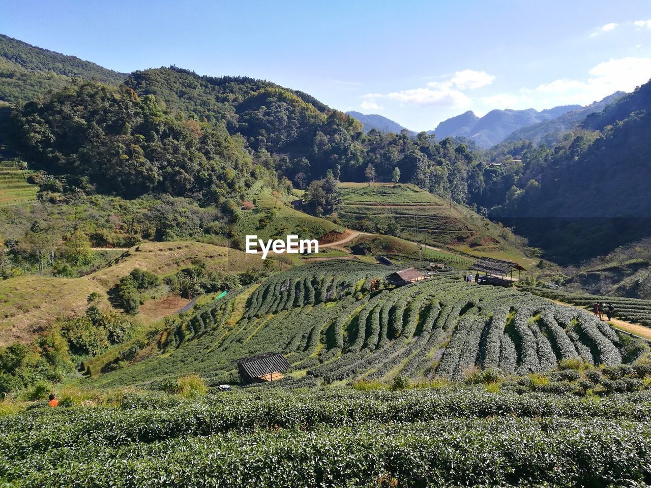 SCENIC VIEW OF AGRICULTURAL FIELD BY MOUNTAINS AGAINST SKY