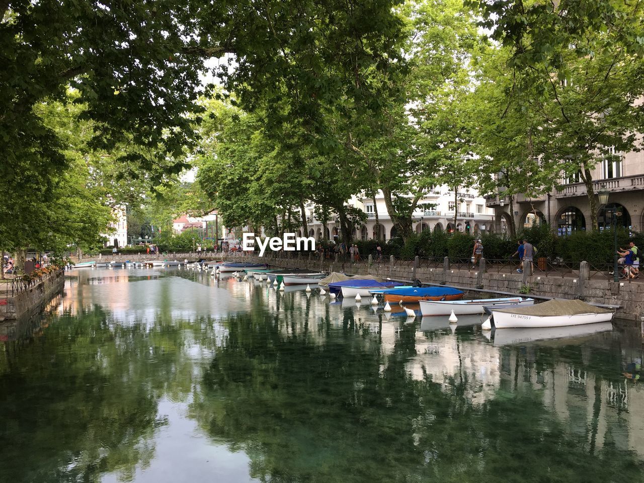 REFLECTION OF TREES ON SWIMMING POOL