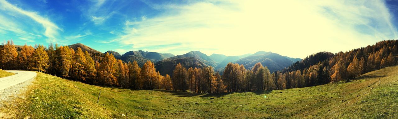 Panoramic shot of trees and mountains against sky