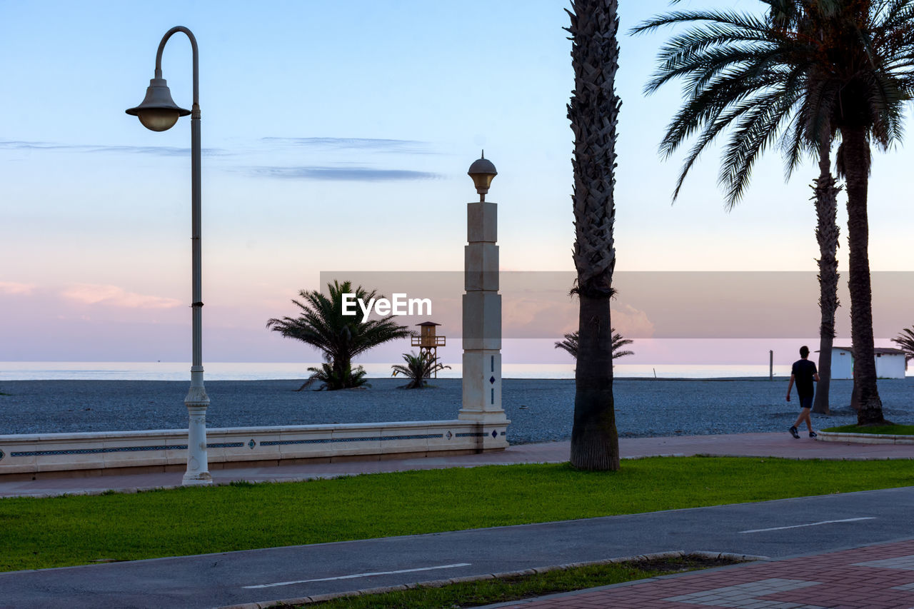 palm tree, water, tropical climate, sea, sky, tree, beach, nature, plant, vacation, land, walkway, coast, travel destinations, horizon over water, sunset, ocean, architecture, beauty in nature, horizon, scenics - nature, shore, travel, coconut palm tree, street light, tranquility, street, footpath, city, outdoors, holiday, trip, tower, tourism, tranquil scene, grass, bay, cloud, built structure, tropical tree, blue, idyllic, no people, urban skyline, clear sky, environment, sunlight