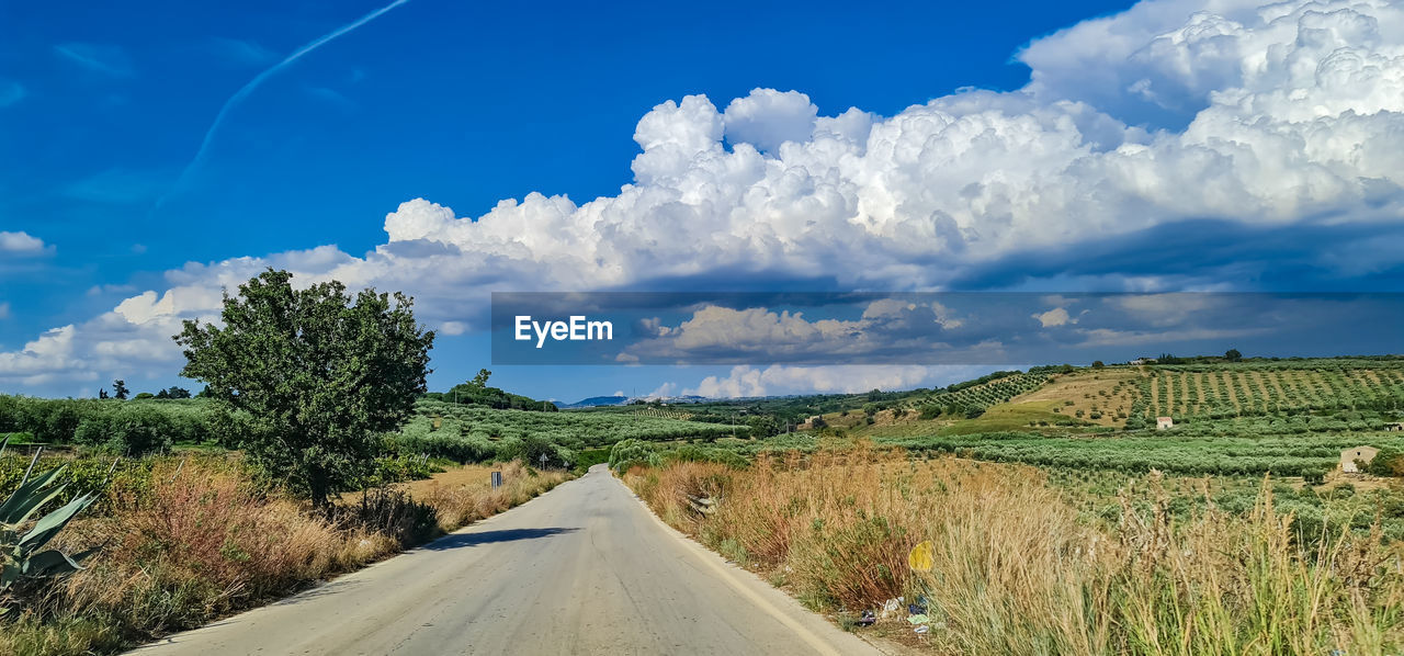 sky, cloud, landscape, road, plant, environment, nature, transportation, horizon, rural area, the way forward, field, scenics - nature, land, rural scene, grass, hill, blue, tree, beauty in nature, no people, diminishing perspective, travel, vanishing point, tranquility, agriculture, day, prairie, outdoors, tranquil scene, non-urban scene, country road, growth, plain, green, travel destinations, sunlight, cloudscape, natural environment, highway, crop, grassland, farm