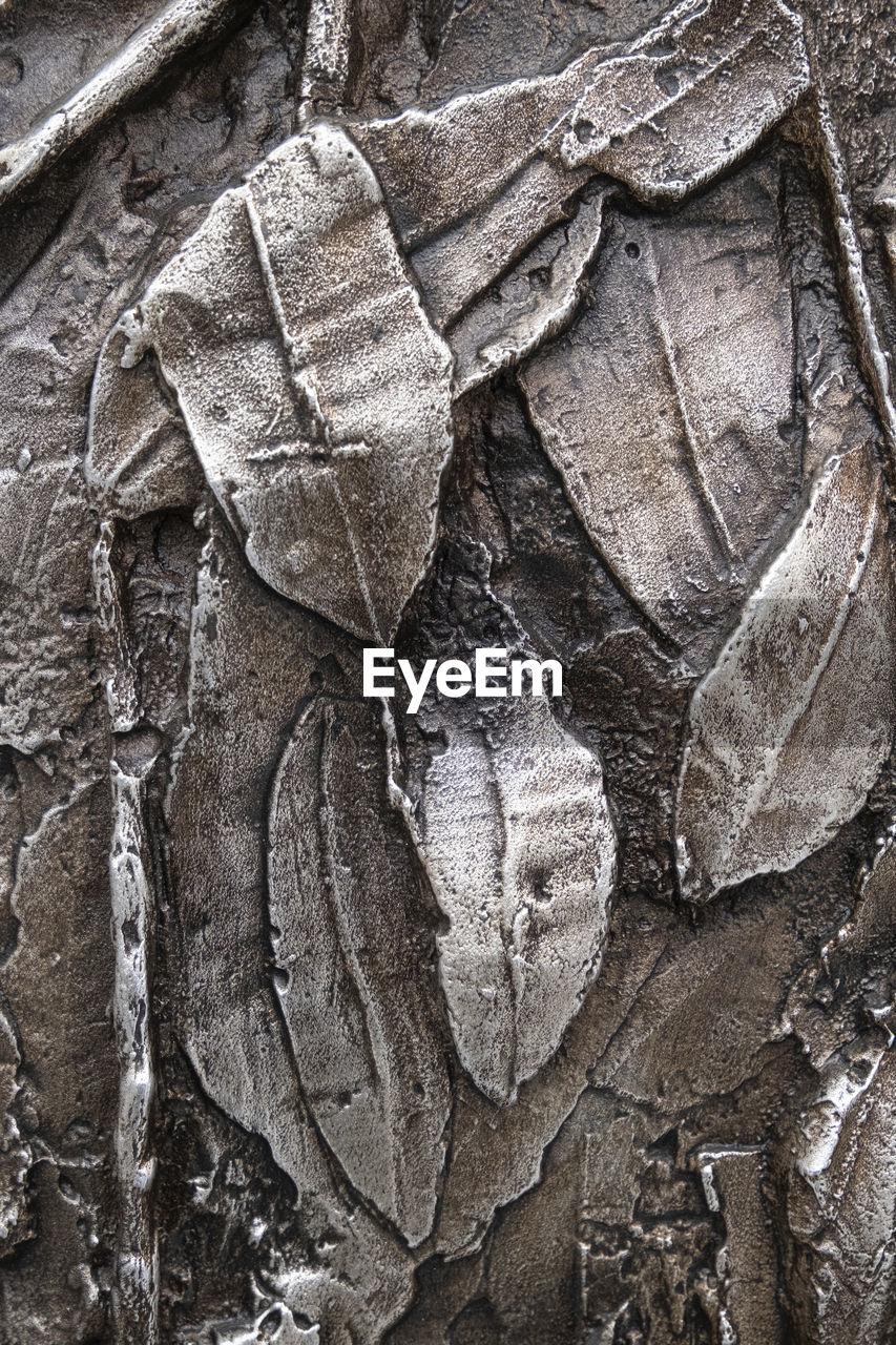 full frame shot of tree stump