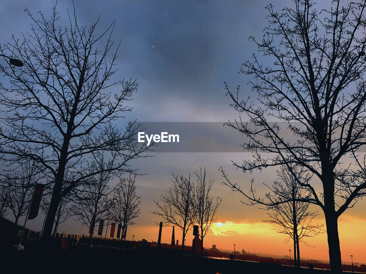 SILHOUETTE BARE TREES AGAINST SKY DURING SUNSET