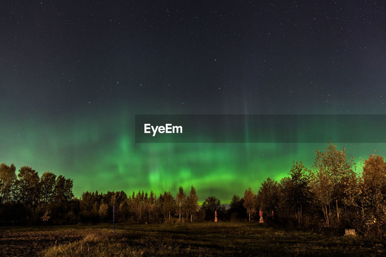 Scenic view of trees on field against sky at night