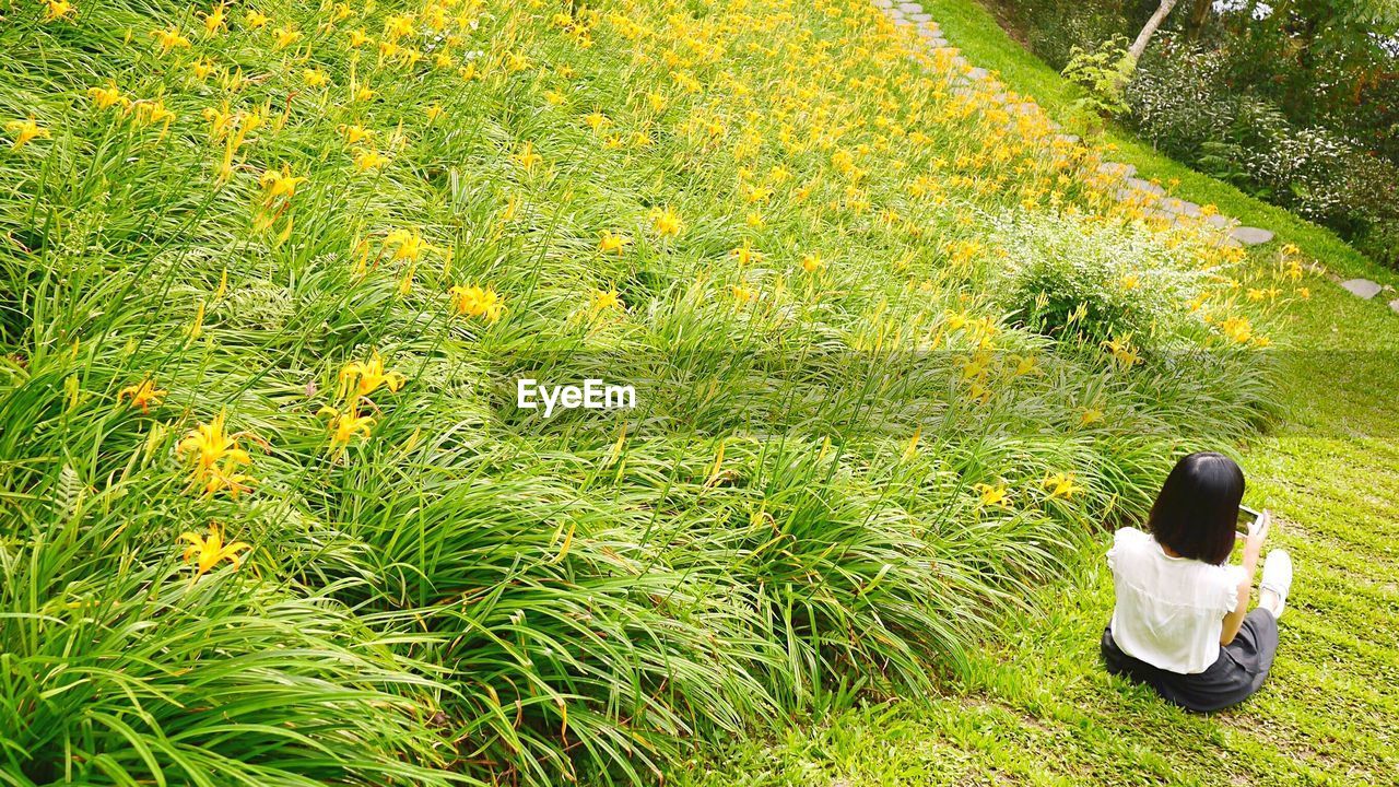 REAR VIEW OF MAN SITTING ON GRASS