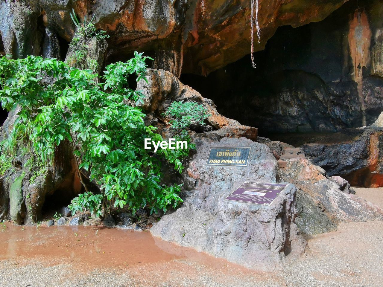 rock, cave, nature, rock formation, no people, plant, day, outdoors, beauty in nature, land, tree, tranquility, geology, sunlight