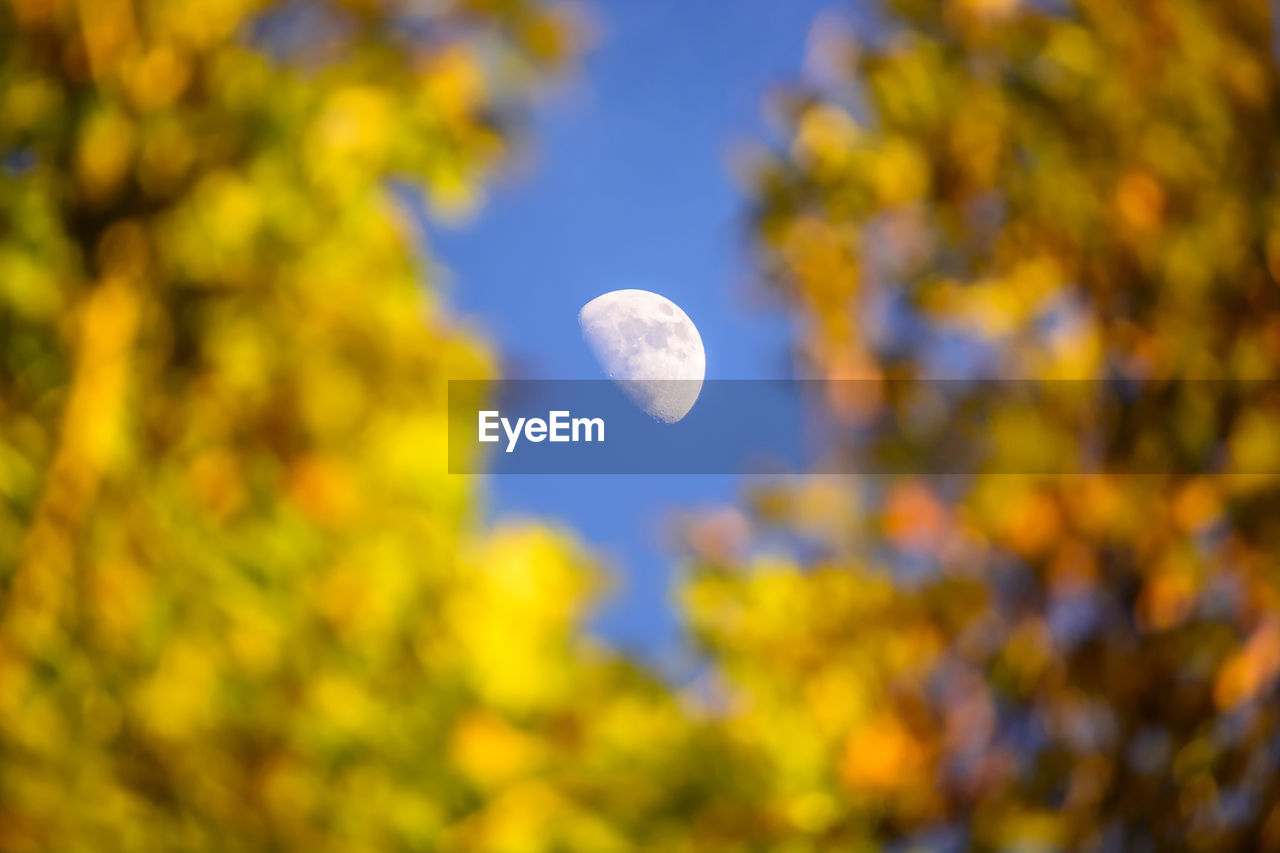 Close-up of moon against sky