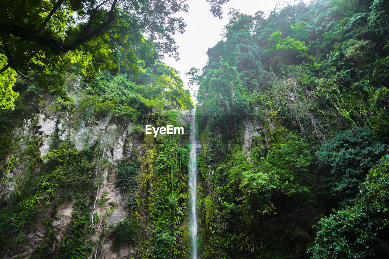 SCENIC VIEW OF WATERFALL