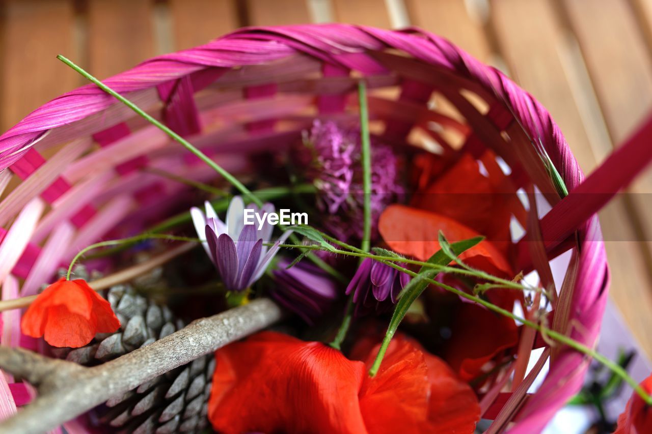 CLOSE-UP OF RED FLOWER POT