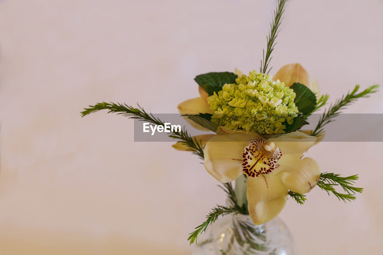 Close-up of vase over white background