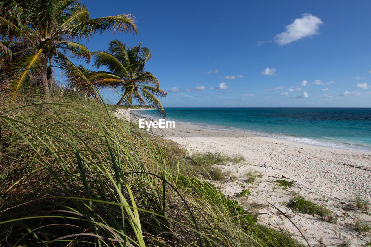 Scenic view of beach against sky