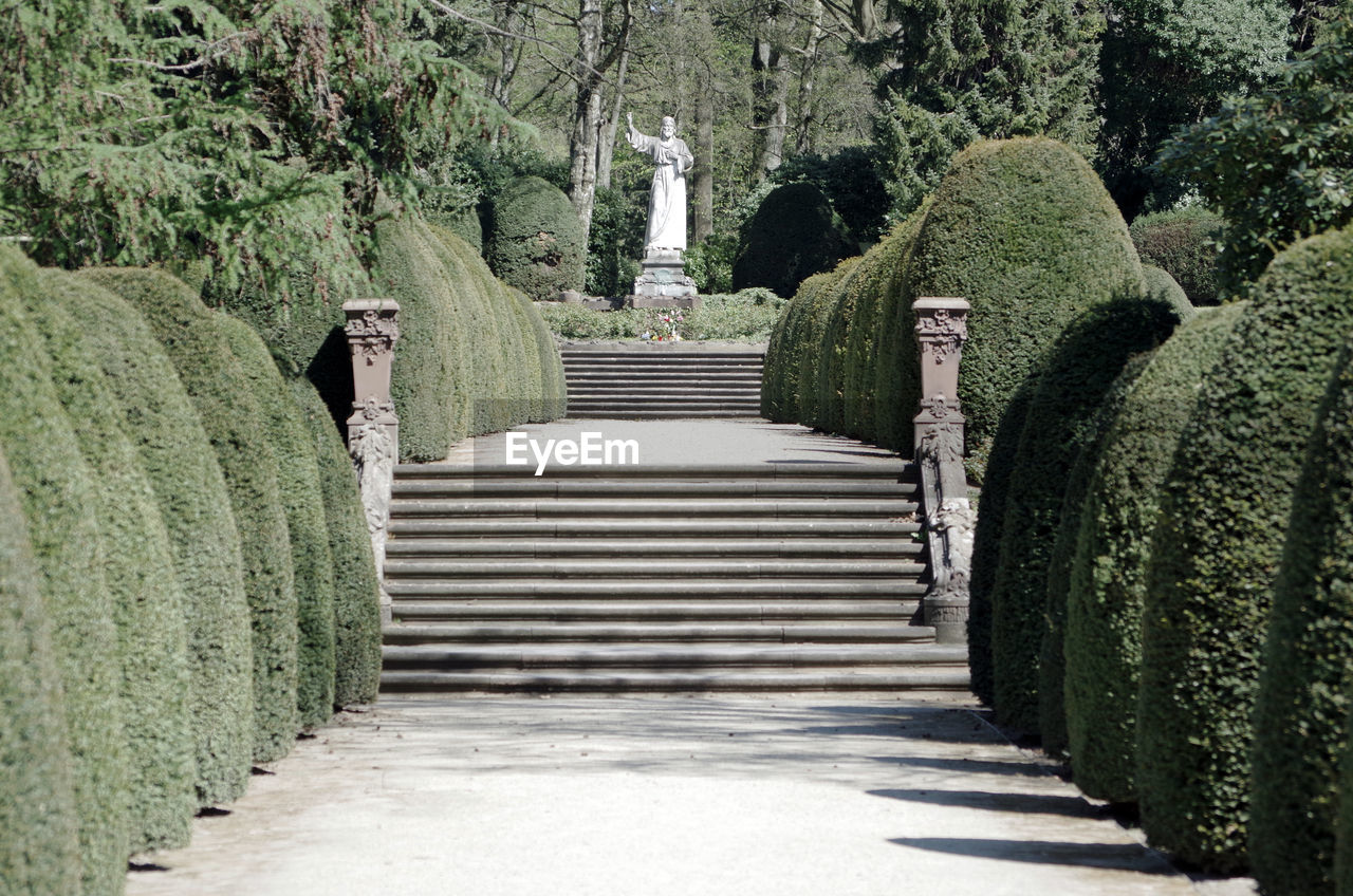 Footpath in garden