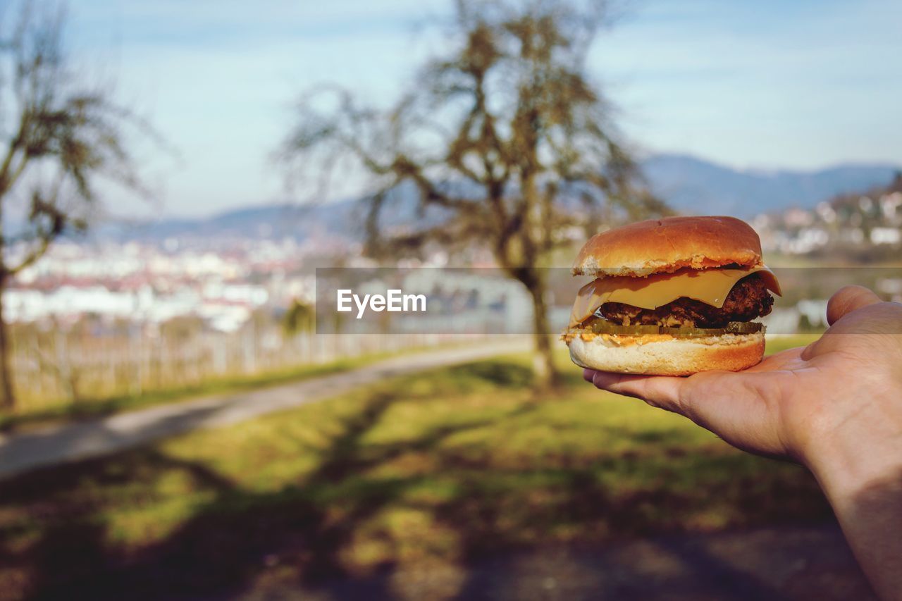 Close-up of hand holding burger against blurred landscape