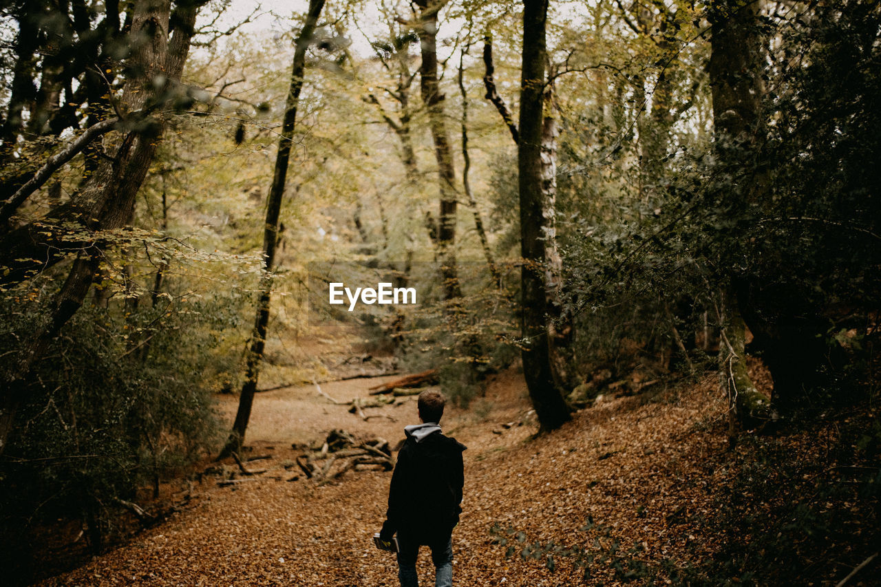 Rear view of man walking in forest