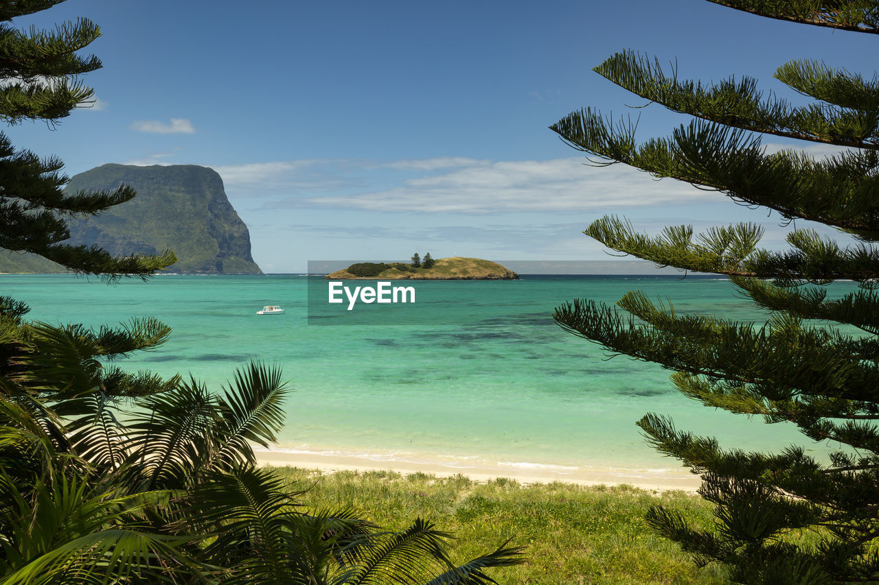 Lord howe island near lovers bay beach with pristine turquoise blue water and beautiful coral reefs