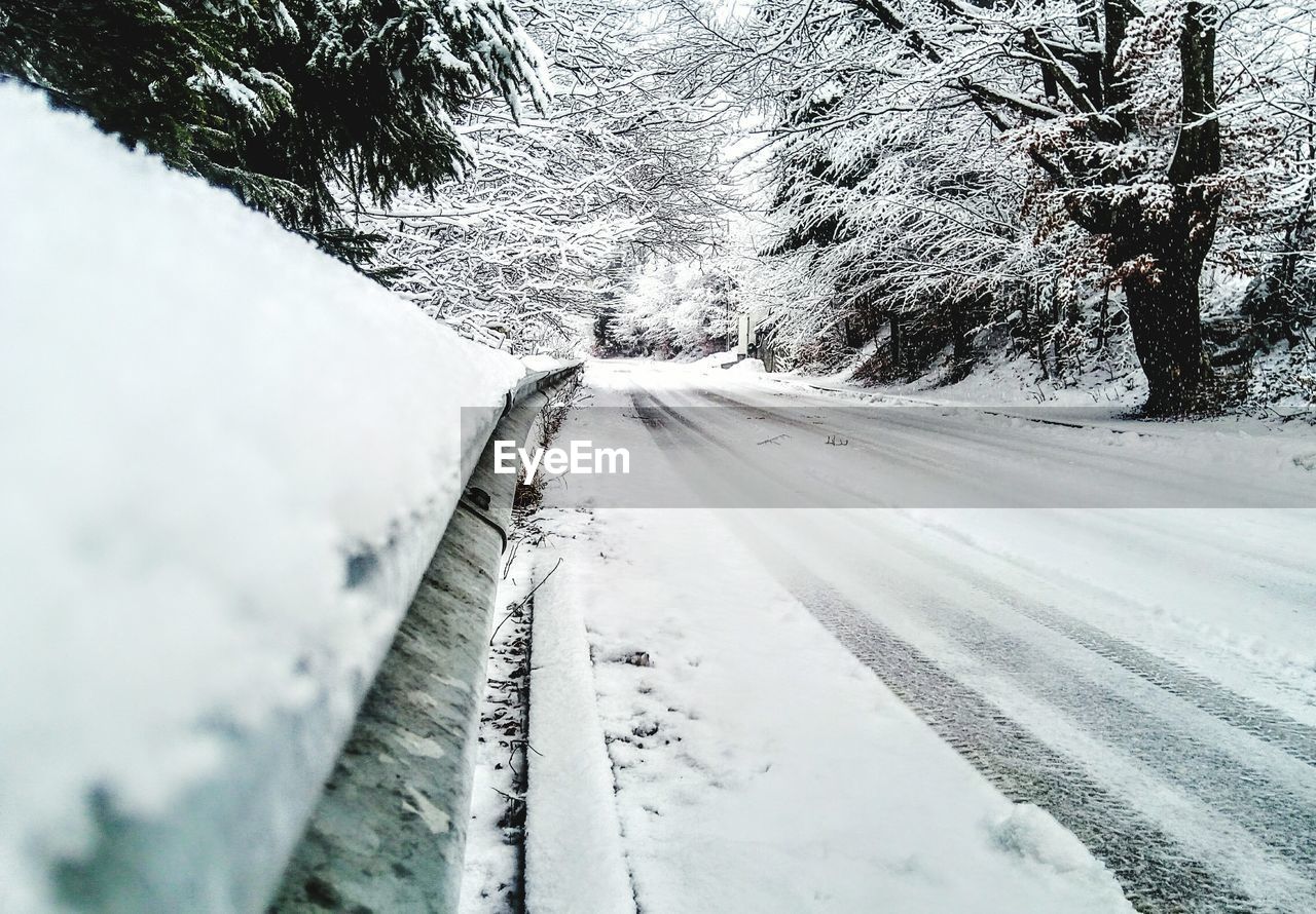 SNOW COVERED TREES IN WINTER