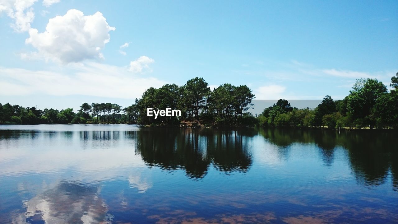 TREES BY LAKE AGAINST SKY