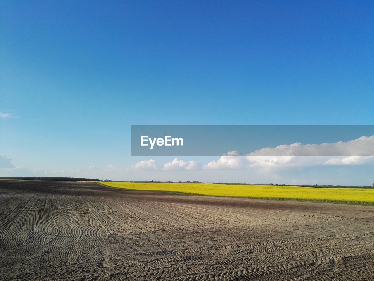 FIELD AGAINST BLUE SKY