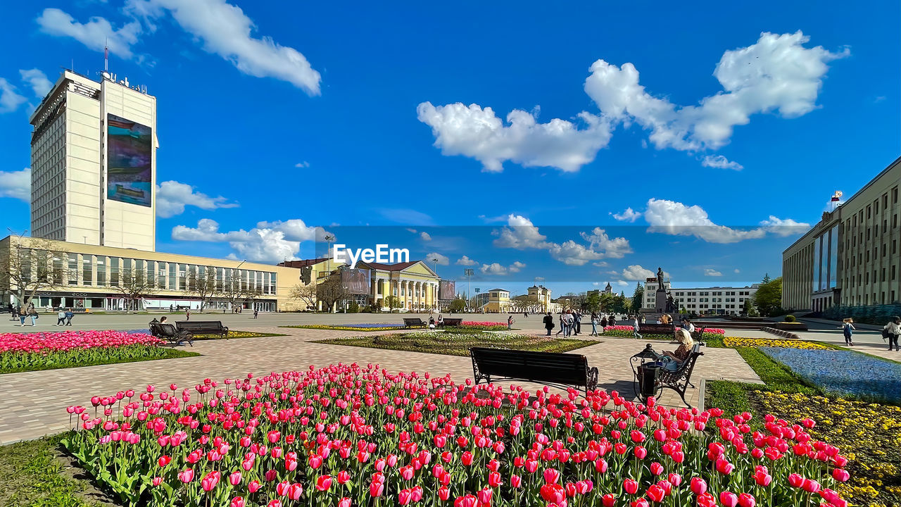 VIEW OF FLOWERING PLANTS BY BUILDINGS AGAINST CLOUDY SKY