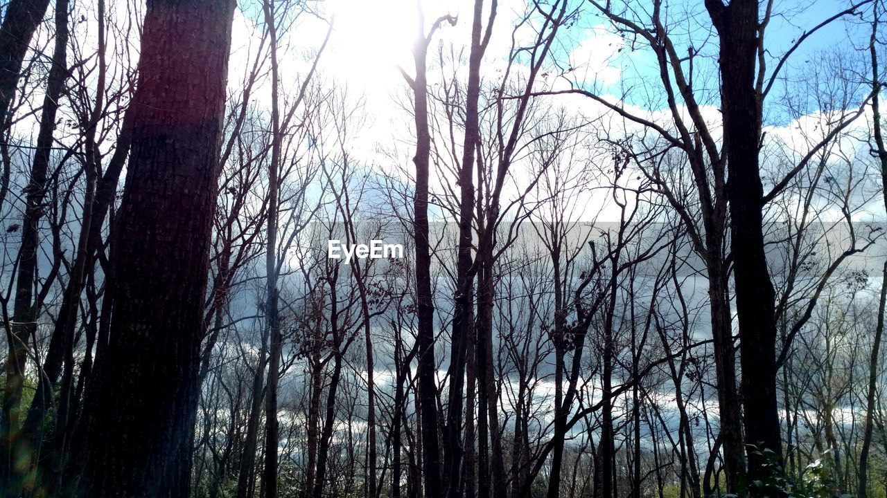 Low angle view of bare trees against cloudy sky